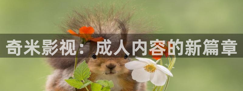 红桃影院懂你的影院