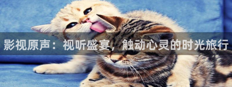 红桃视频电影院：影视原声：视听盛宴，触动心灵的时光旅行