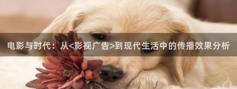 红桃影院在线观看nba