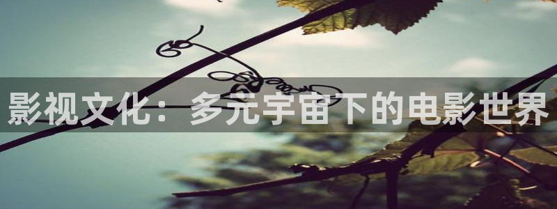 红桃影院免费入口