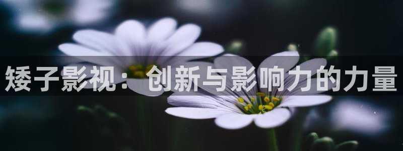 红桃国际影视